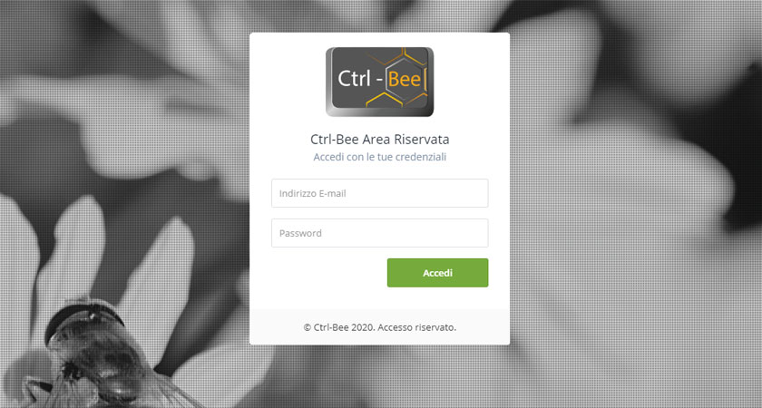 Web App Ctrl-Bee - web app - Brescia